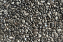 Black Polished Natural River Pebbles - 3 lbs/9 lbs/30 lbs
