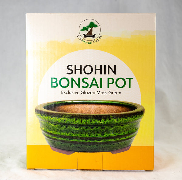 Oval Glazed Shohin Bonsai Pot + Mesh + Wires 6