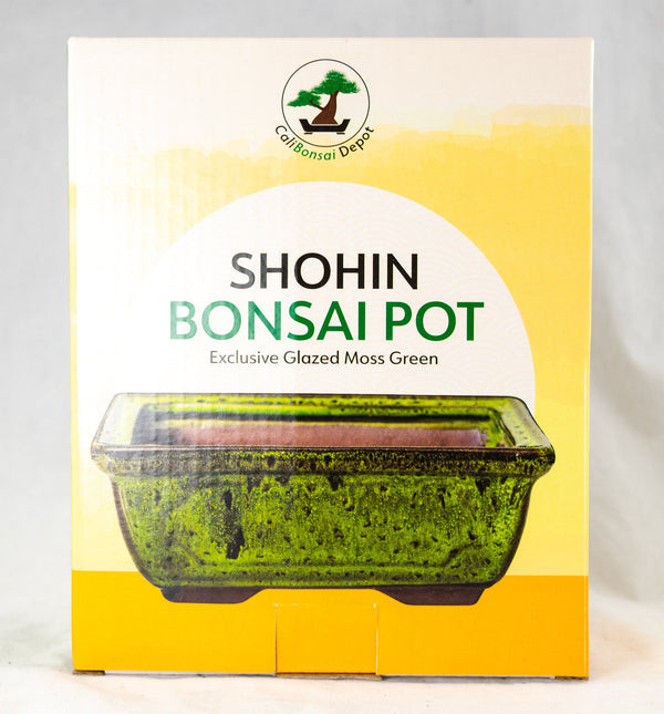 Rectangular Glazed Shohin Bonsai Pot + Mesh + Wires 6