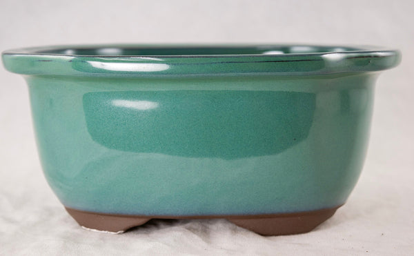 Japanese Yokkaichi Green Oval Glazed Bonsai Pot + Mesh 6.75