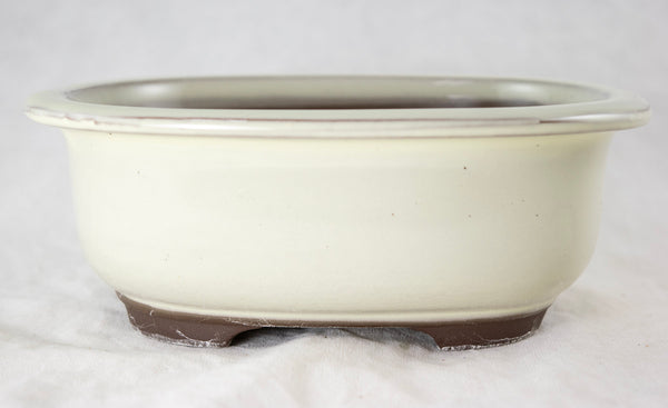 Japanese Yokkaichi Beige Oval Glazed Bonsai Pot + Mesh 5.25
