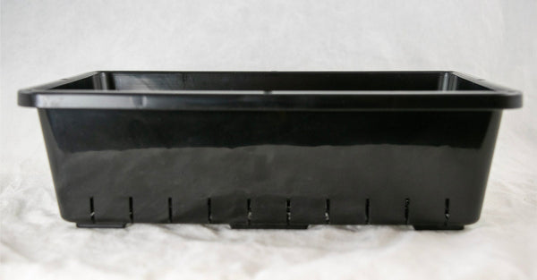 Japanese Black Plastic Propagation Tray - 10.25