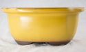 Japanese Yokkaichi Mustard Oval Glazed Bonsai Pot 6.75