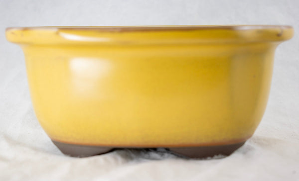 Japanese Yokkaichi Mustard Oval Glazed Bonsai Pot 6.75